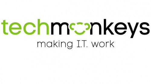 TECHMONKEYS ADD INNOVATION AT THE GATEWAY